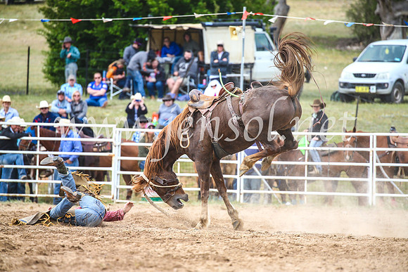 BungendoreRodeo2017_4892