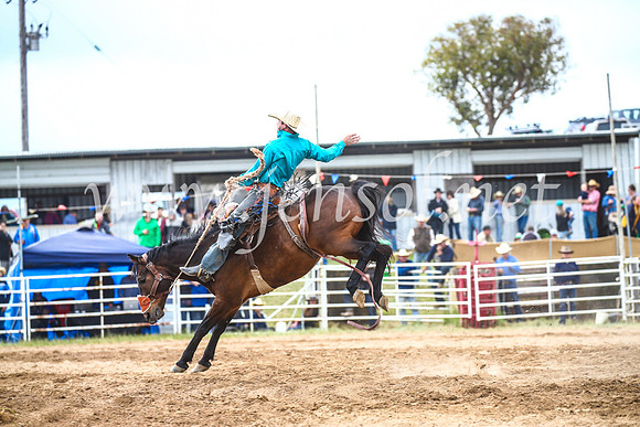 BungendoreRodeo2017_4806