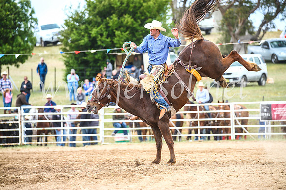 BungendoreRodeo2017_4768