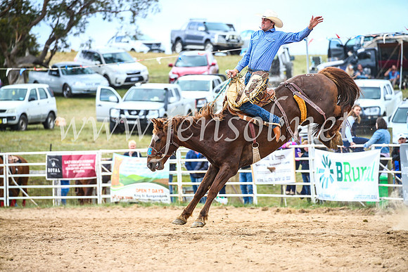 BungendoreRodeo2017_4743