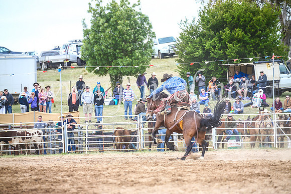BungendoreRodeo2017_4914