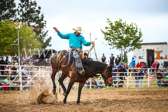 BungendoreRodeo2017_4836