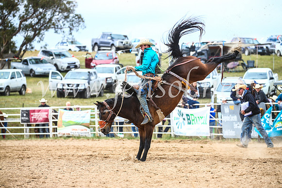 BungendoreRodeo2017_4780