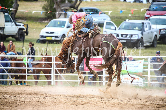 BungendoreRodeo2017_4882