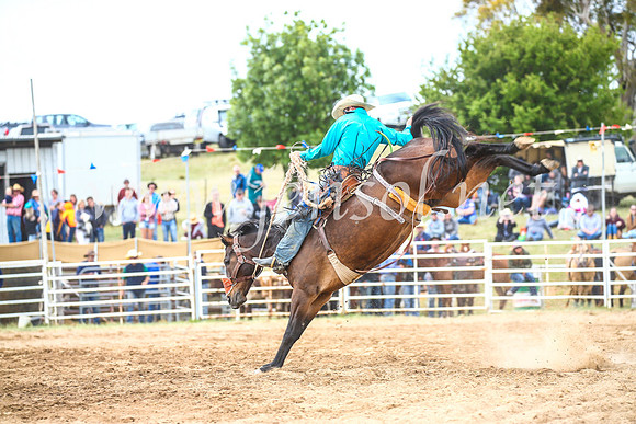 BungendoreRodeo2017_4794