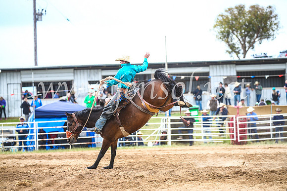 BungendoreRodeo2017_4808