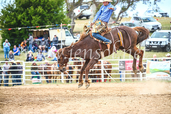 BungendoreRodeo2017_4761