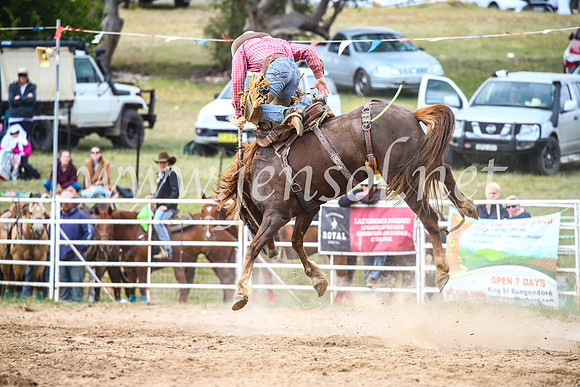 BungendoreRodeo2017_4902
