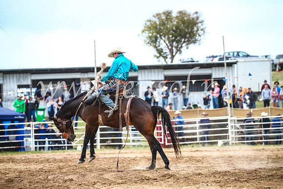 BungendoreRodeo2017_4807