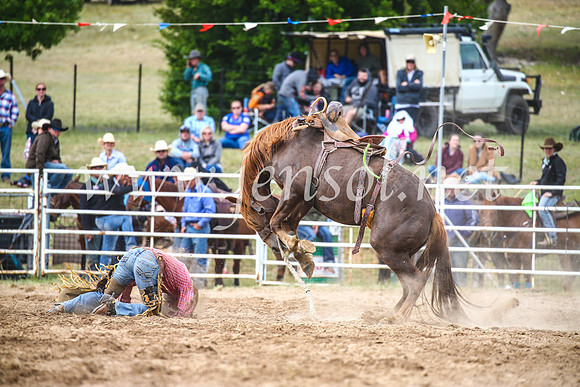 BungendoreRodeo2017_4895
