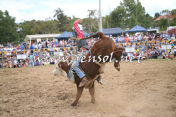 JindabyneRodeo2014_2020