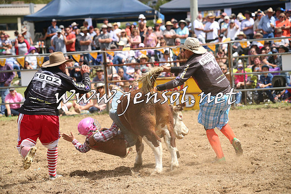 JindabyneRodeo2014_2050