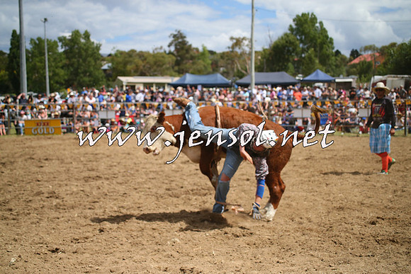 JindabyneRodeo2014_1945