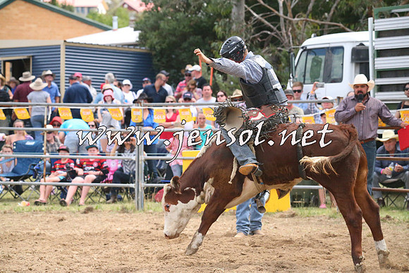 JindabyneRodeo2014_1960