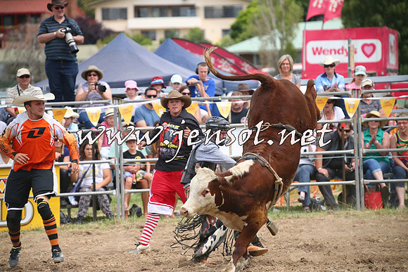 JindabyneRodeo2014_1981