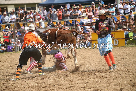 JindabyneRodeo2014_2063