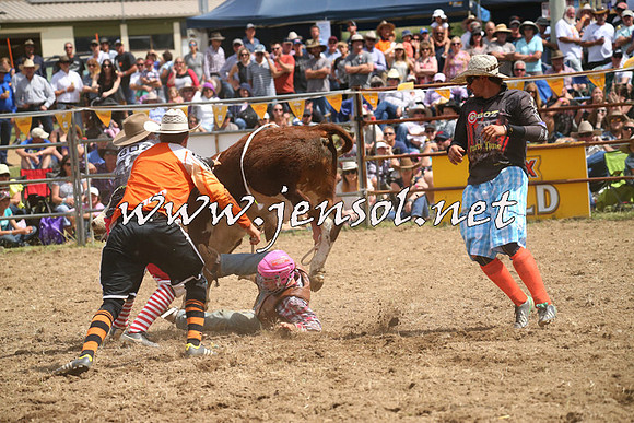 JindabyneRodeo2014_2066
