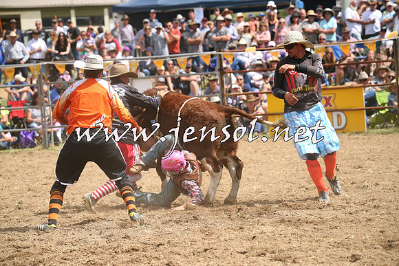 JindabyneRodeo2014_2065