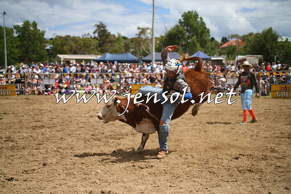 JindabyneRodeo2014_1947