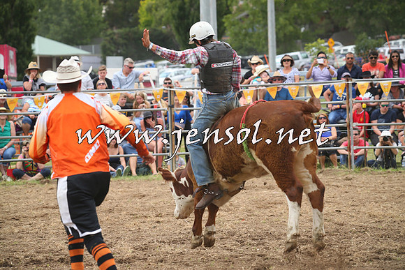 JindabyneRodeo2014_0492