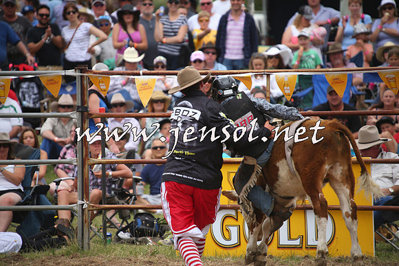 JindabyneRodeo2014_0765