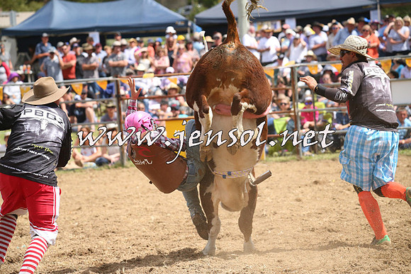 JindabyneRodeo2014_2055