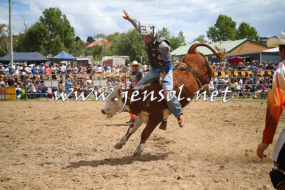 JindabyneRodeo2014_1951