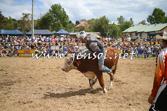 JindabyneRodeo2014_1954