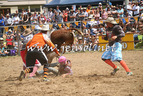JindabyneRodeo2014_2064