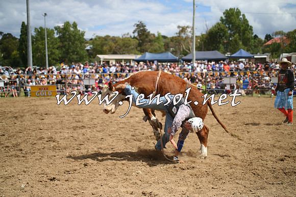 JindabyneRodeo2014_1948