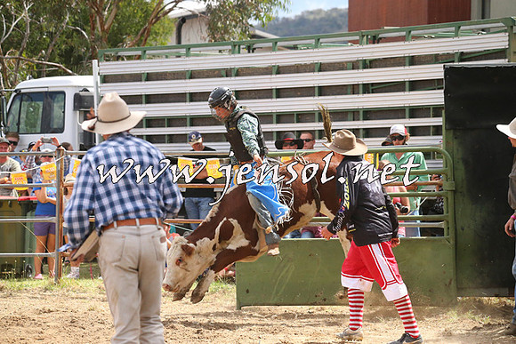 JindabyneRodeo2014_1982