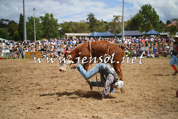 JindabyneRodeo2014_1946