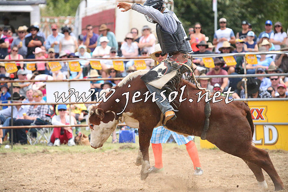JindabyneRodeo2014_1967