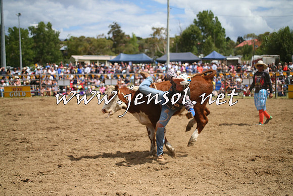 JindabyneRodeo2014_1944