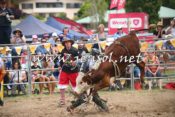 JindabyneRodeo2014_1980