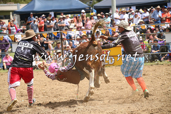 JindabyneRodeo2014_2049