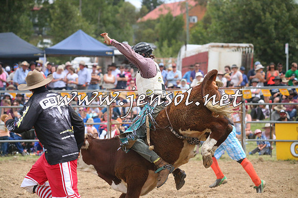 JindabyneRodeo2014_2033