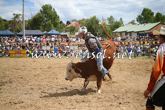 JindabyneRodeo2014_1949