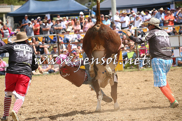 JindabyneRodeo2014_2051