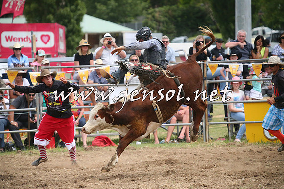 JindabyneRodeo2014_1973