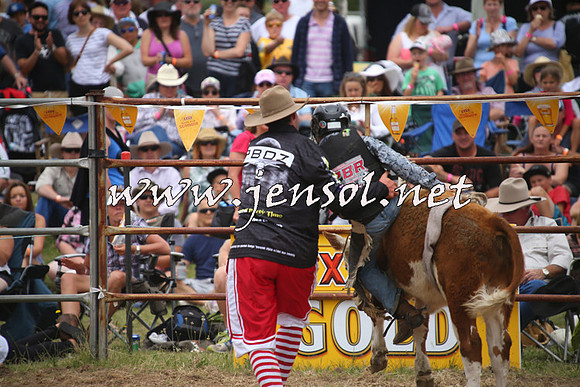 JindabyneRodeo2014_0763