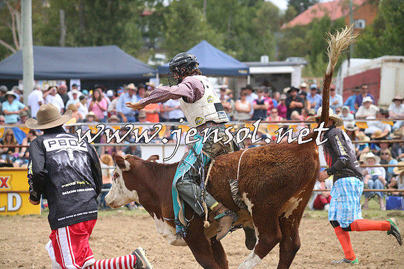 JindabyneRodeo2014_2031
