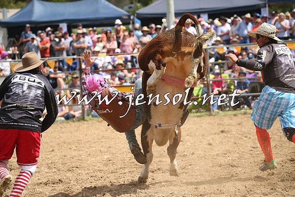 JindabyneRodeo2014_2057