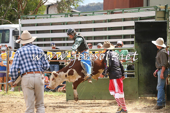 JindabyneRodeo2014_1983