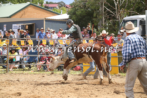 JindabyneRodeo2014_1985