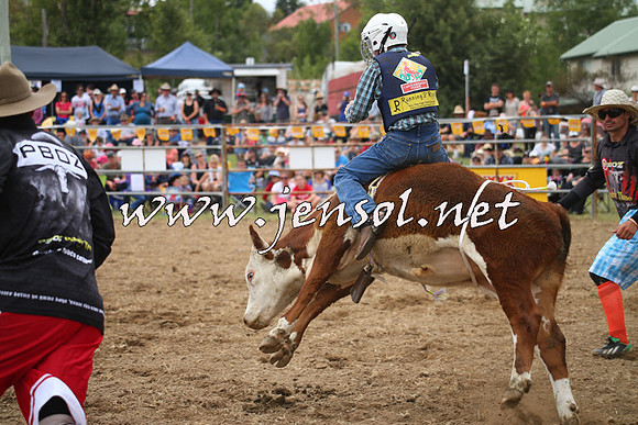 JindabyneRodeo2014_0517