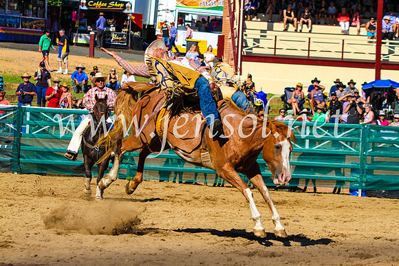 CoomaRodeo2017_9121