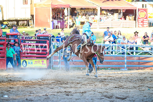 CoomaRodeo2017_3453
