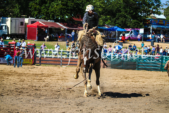 CoomaRodeo2017_2775