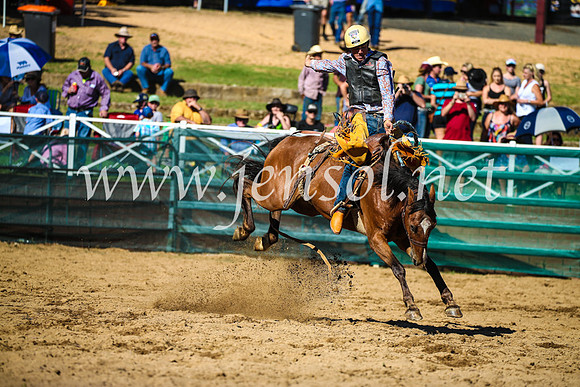 CoomaRodeo2017_2712